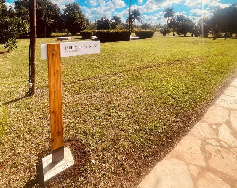 Hammocks under the trees