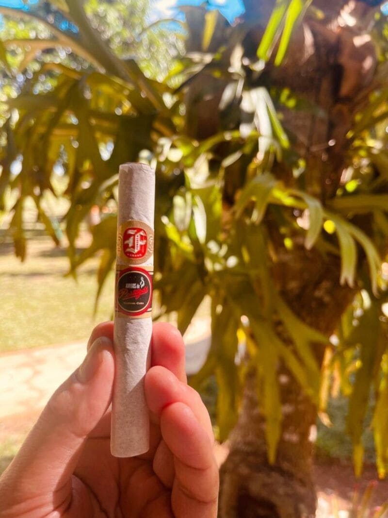 Live quartet performance