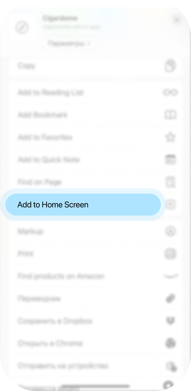 Choose Add to Home Screen in the share menu